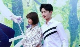 杨洋郑爽天天向上视频,甜蜜互动引粉丝尖叫