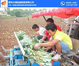 栽菜机视频,高效农业新利器，视频揭秘操作与优势