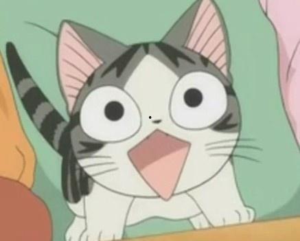 甜甜私房猫视频,温馨日常，治愈系猫咪生活大揭秘