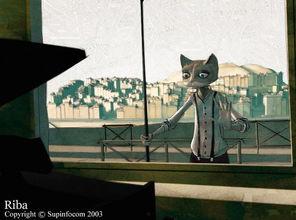 猫咪的梦想视频,追寻梦想的喵星奇缘